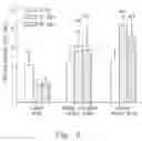 Fig. 09 - Heripenes with pain-relieving effect, active substances of mycelium and the preparation method thereof, and pharmaceutical composition containing the heripenes or active substances