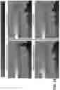 Fig. 15 - Peanut maturity grading systems and methods