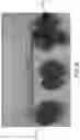 Fig. 06 - Cat litter product