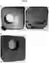 Fig. 05 - Bee feeder having labyrinthine passages