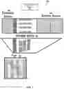 Fig. 15 - Robotic aquaculture system and methods