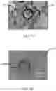 Fig. 08 - Capillary assisted vitrification processes and devices