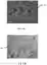 Fig. 09 - Capillary assisted vitrification processes and devices