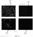 Fig. 12 - Capillary assisted vitrification processes and devices