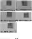Fig. 09 - TERMITE REPELLENT AND WORD PROTECTOR