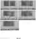 Fig. 11 - TERMITE REPELLENT AND WORD PROTECTOR