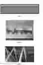 Fig. 02 - Antimicrobial composition for protecting wood