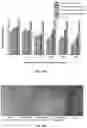 Fig. 07 - Antimicrobial composition for protecting wood