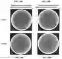 Fig. 13 - ALTERING MICROBIAL POPULATIONS & MODIFYING MICROBIOTA