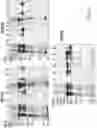 Fig. 05 - METHOD FOR REDUCING CONTAMINATION OF AN OBJECT WITH CLOSTRIDIUM