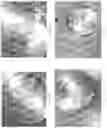 Fig. 06 - Processed cheese with cultured dairy components and method of manufacturing