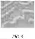 Fig. 06 - FEED COMPOSITIONS AND FEED ADDITIVE COMPOSITIONS FOR AQUACULTURE SPECIES