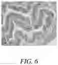 Fig. 07 - FEED COMPOSITIONS AND FEED ADDITIVE COMPOSITIONS FOR AQUACULTURE SPECIES