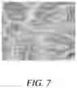 Fig. 08 - FEED COMPOSITIONS AND FEED ADDITIVE COMPOSITIONS FOR AQUACULTURE SPECIES