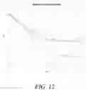 Fig. 13 - FEED COMPOSITIONS AND FEED ADDITIVE COMPOSITIONS FOR AQUACULTURE SPECIES