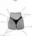 Fig. 06 - Convex Padded Hip Enhancing Garment