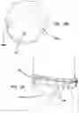 Fig. 05 - Securable hat