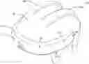 Fig. 01 - Helmet with flexible structure for improved force attenuation