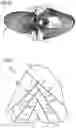 Fig. 03 - Shoe upper