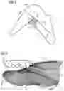 Fig. 04 - Shoe upper