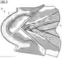 Fig. 05 - Shoe upper