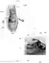 Fig. 03 - LACED SHOE