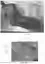 Fig. 03 - Shoe-fit testing device