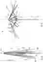 Fig. 02 - AUTOMATIC UMBRELLA
