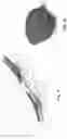 Fig. 25 - EYEWEAR PROTECTION COVER