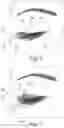 Fig. 03 - Applicator for applying a cosmetic product to keratinous materials
