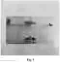 Fig. 02 - Removable Pendulum-Operated Swing Mechanism