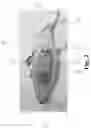 Fig. 03 - Removable Pendulum-Operated Swing Mechanism