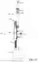 Fig. 73 - Tug activated motorized window covering having an external battery tube