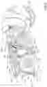 Fig. 05 - Surface cleaning apparatus