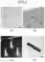 Fig. 03 - Miniature image relay endoscopy probe and multi-photon endoscopy including the same