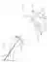 Fig. 08 - MATHIS LAPAROSCOPIC INGUINAL HERNIA ILLUMINATOR