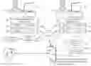 Fig. 01 - Digital visual acuity eye examination for remote physician assessment