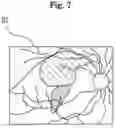 Fig. 10 - Image processing device and non-transitory computer-readable recording medium