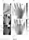 Fig. 13 - Structured-light imaging systems and methods for determining sub-diffuse scattering parameters