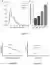 Fig. 06 - Method of scanning and assessing lung and vascular health