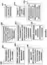 Fig. 05 - Combining Pulmonary Function Test Data with Other Clinical Data