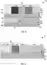 Fig. 03 - Electrochemical sensor including multiple work electrodes and common reference electrode