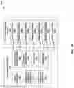 Fig. 08 - Electrochemical sensor including multiple work electrodes and common reference electrode