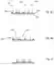 Fig. 06 - In vivo sensor