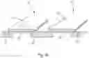 Fig. 07 - In vivo sensor