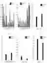Fig. 20 - Classifying individuals using finite mixture markov modelling and test trials with accounting for item position