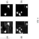 Fig. 11 - Adaptive illumination apparatus, method, and applications