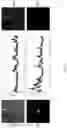 Fig. 13 - Adaptive illumination apparatus, method, and applications