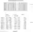 Fig. 34 - METHODS AND SYSTEMS FOR DIAGNOSIS OF POST-TRAUMATIC STRESS DISORDER