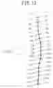 Fig. 12 - Spinal-column arrangement estimation-apparatus, spinal-column arrangement estimation method, and spinal-column arrangement estimation program